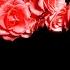 Minuet From String Quintet In E Op 13 No 5