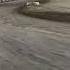 LIVE Kubota High Limit Racing At Port Royal Speedway