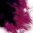 Zedd Beautiful Now Ft Jon Bellion Lyrics