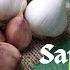 Sarymsagyň 5 Esasy Peýdasy Sarymsak Her Gün Iýseň Näme Bolýar 5 Health Benefits Of Raw Garlic