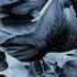 Pop Smoke 50 Cent Candy Shop X Element ᴴᴰ Clean