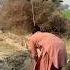 Hunting For Birds Egg Hunting Birds Eggs Farming Hunter