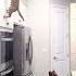 How Cats Jump So High And Why It S Not Good For You