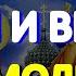 Очень сильные молитвы за детей и внуков защитят от болезней бед и злых наговоров