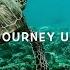 Yoga Nidra Journey Under The Sea