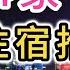 上海自由行住宿攻略 精選4家酒店推薦 陸家嘴浦東新區 外灘 南京路步行街 上海中心大廈J酒店 國金匯酒店公寓 和平飯店 南新雅皇冠假日酒店 東方明珠塔 上海三件套 中國大陸旅遊 上海旅遊 旅館飯店