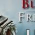 Литерал Assassins Creed Freedom Cry
