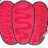 Glitter Glitterart Colorfulcreativekids Vegetables Pepper Red Color