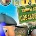 Братья Пилоты 3D 2 Тайна клуба собаководов 5