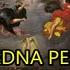 Pobedna Pesma Телевизија Храм LEGENDADO PT BR