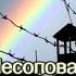 Камешек