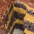 The Most Delicious Dessert Everyone Is Talking About Easy And Delicious Cake Recipe