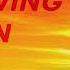 TRNM005 Tau Rine Following The Sun 2019
