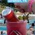 Adult Night At Montage Mountain Scranton PA