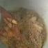 Amodi Fish Fry Recipe Youtubeshorts Short Viral Trending