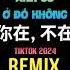 洋澜一 你在 不在 DJ阿本版 Anh Có Ở Đó Không Remix Tiktok Dương Lan Nhất