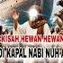 Kisah Hewan Di Perahu Nabi Nuh As Mbschannel Sejarahislam Kisahnabi Nabinuh Sorts