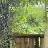 Huyen Decided To Help The Poor Girl One More Time Will Huyen S Kindness Change The Girl S Fate