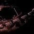 Five Nights At Freddy S 3 Springtrap Death Screen Easter Egg Found Again After 6 YEARS FNAF 3