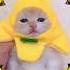 Happy Happy Happy Cat Song Cat Sound Banana Cat Viral Trending Tiktok Shorts Sonyaart22 Tiny Yelly