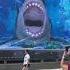 3D Shark Action Runnnn Bahamas Nassau Shark Epic Wow