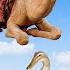 Cute Pets And Animals Dog Kitten Duck Rabbit Cow Camel Buffalo Animal Sounds