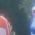 Watch The Finding Nemo Final Theatrical Trailer With The Minions Summer Special