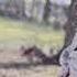 Elizabeth Cook Rainbows At Midnight