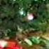 A Ripplinger Christmas