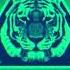 Kolombo Throw Your Hands C R O M I Dask Remix From BUNNY TIGER