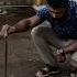 Water Cooler Ke Neeche Nikla Zehreela Mehmaan Shorts Animals Wildlife