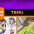 The Absurd Economics Of Wish AliExpress And Temu