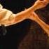 Il Re Pastore Overture By Mozart