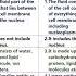 Difference Between Cytoplasm And Protoplasm Biology Bio Students Ncert Neet Youtubeshorts