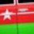 AZERI BASS MUSIC SaRi CiCeyiM