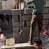 A Delightful Day With Ali And Zahra S Nomadic Family A Heartwarming Visit
