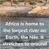 The Nile River Is Crazy Shorts Africa Facts Nile