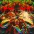 Dhamika Spiritual Beings