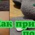 КАК ШИТЬ ПОНИ 1 1 пришиваем рог к пони буханке