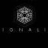 The Plot Of Signalis In One Minute