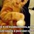 Ням ням ням ХА ХА кот врек Recommendations