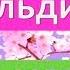 Вивальди Времена года Весна Largo Времена года Весна 2 часть