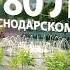 Как Краснодарский край отпразднует 80 летие