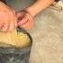 Chicken Feeding Hack Using A Rubber Boot As A Feeder