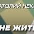 Как женщине обрести счастье и согласие с собой и окружением Ольга Котерева и Анатолий Некрасов