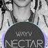 WayV Nectar Audio