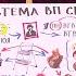 Алла Михеева О схеме президентских выборов в США 08 11 2016