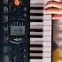 Azeri Tune On Casio Piano Shorts