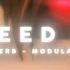 Akiaura Sleepwalker But Speed Up Reverb Modulated