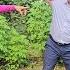 Evil Nature Revealed Will Ngoc S Ex Mother In Law Put CEO Cuong And Ngoc In Danger